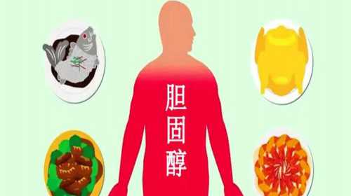宁波卵巢早衰供卵能帮你（卵巢功能衰退怎么调理）~供卵地方